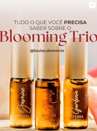 Post do Instagram: tudo o que você precisa saber sobre o Blooming Trio